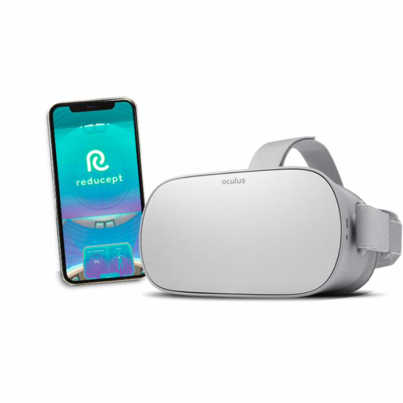 VR glasses and phone